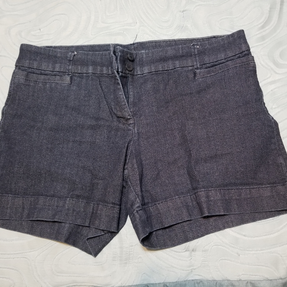 The Limited shorts